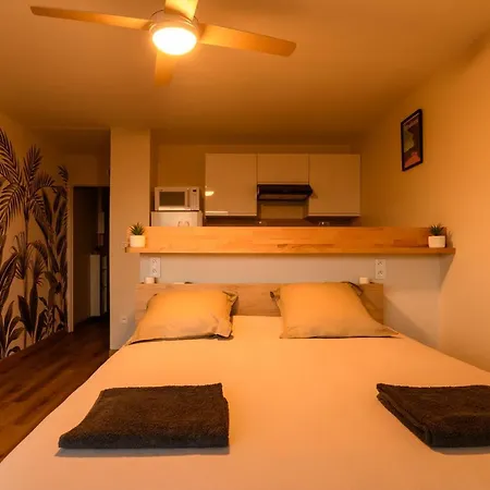Appartement --aux Portes De L'océan-- Première Ligne Vue Imprenable Biscarrosse-plage